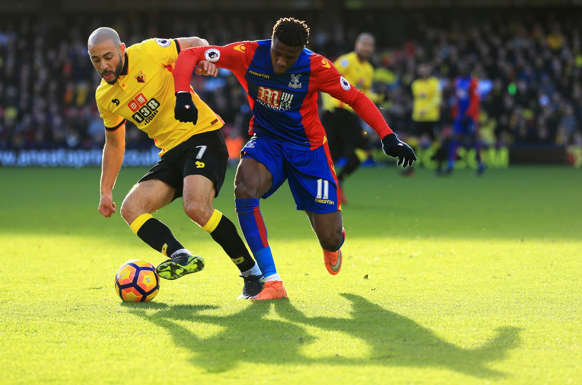 数据同样说 数据同样说