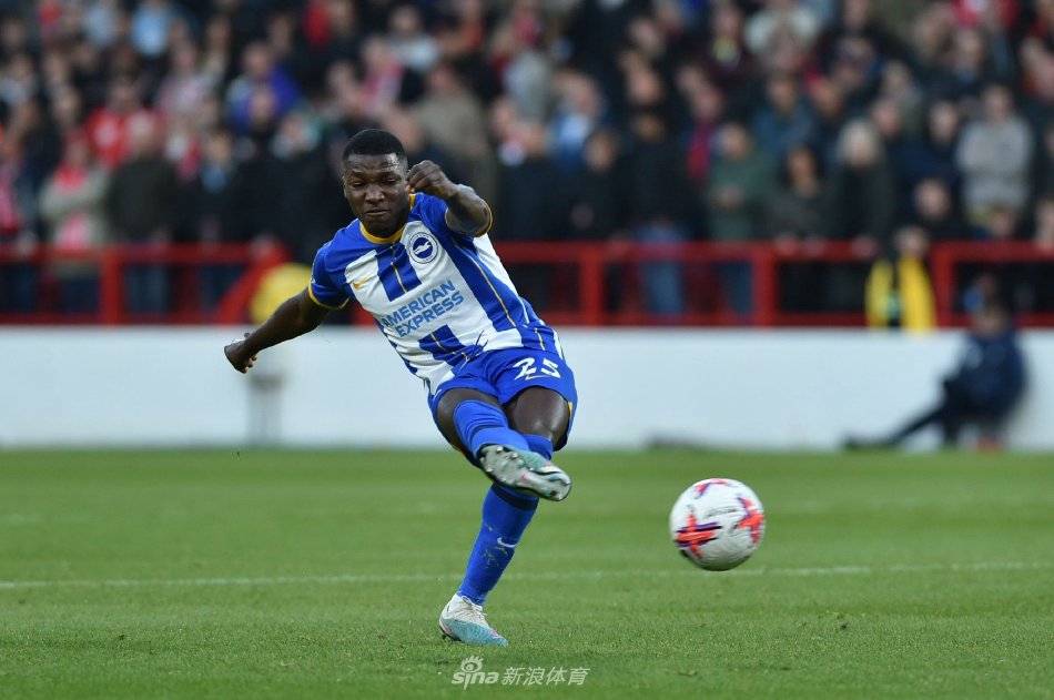 的顽强表现 的顽强表现